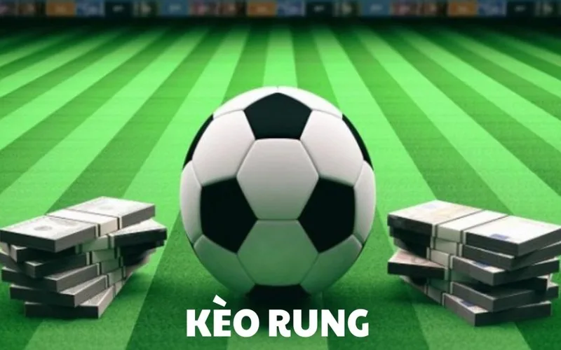 Cách đánh kèo rung hiệu quả cho người mới theo dõi bóng đá trực tuyến