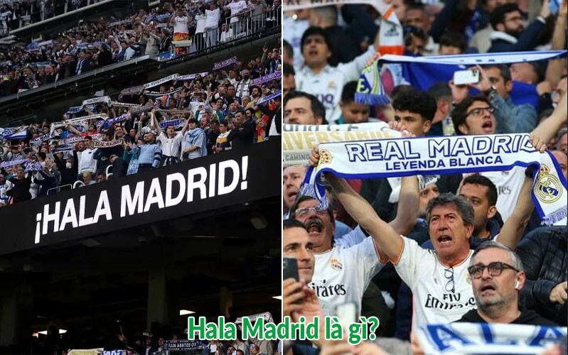 Hala Madrid là gì: Khẩu hiệu huyền thoại của đội bóng Hoàng gia